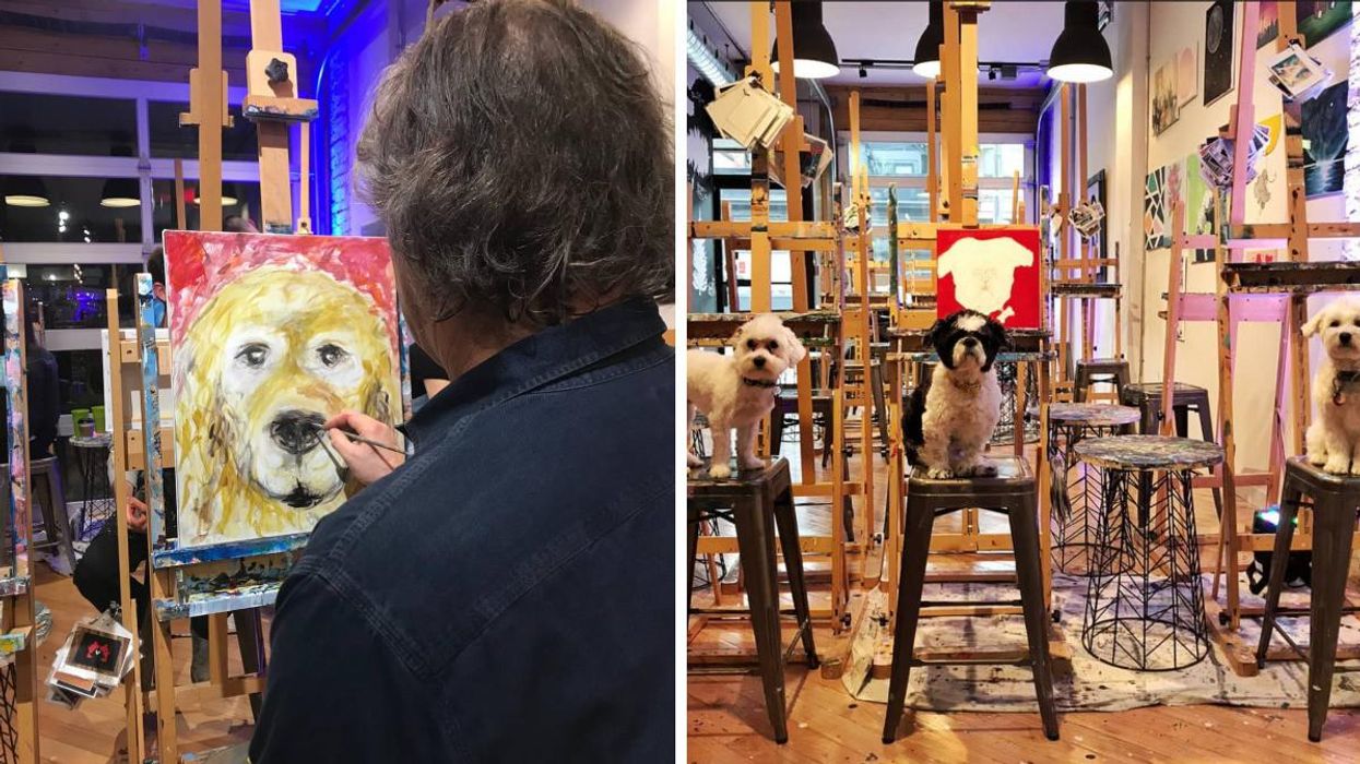 Puppy paint night at Paint Cabin in Toronto, Ontario.