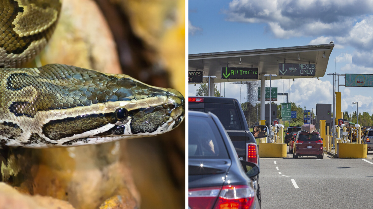 Python. Droite : Frontière Canada-États-Unis.
