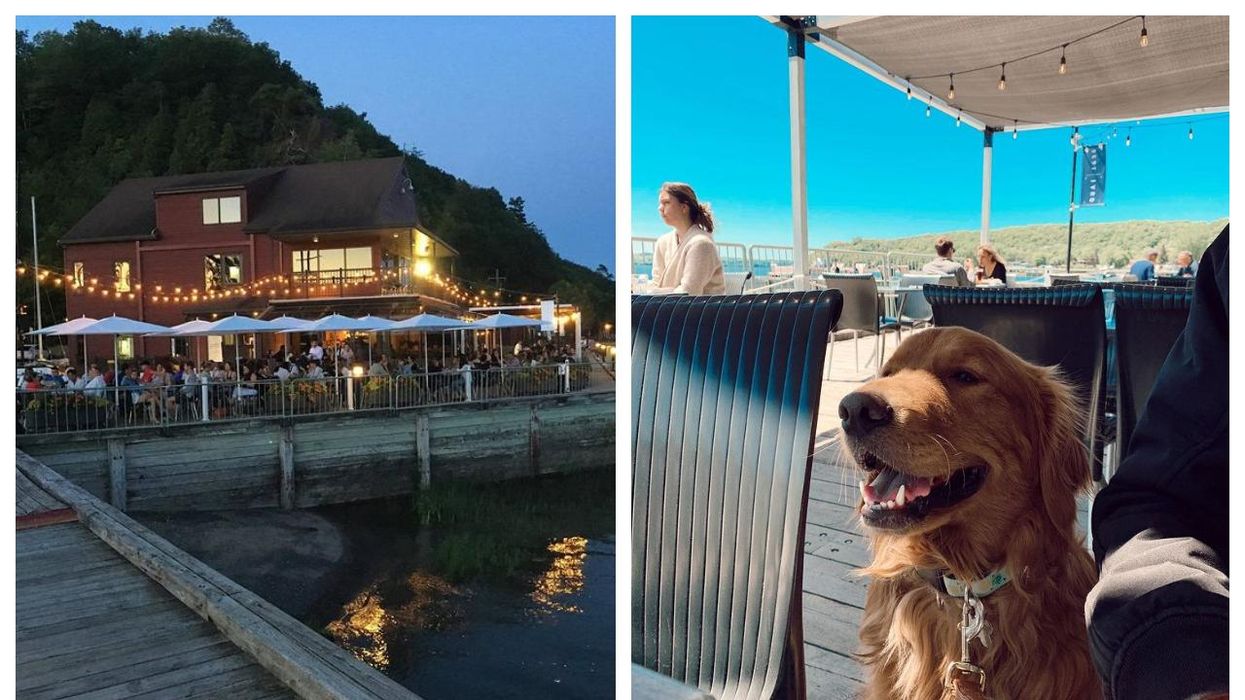 Quai 1635: la terrasse où tu peux amener ton animal de compagnie