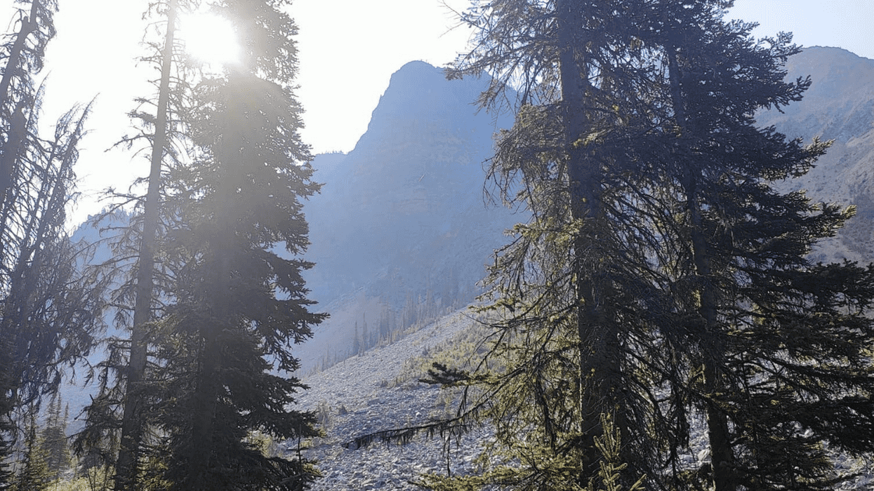 Quartz Creek Trail: A local adventure worth exploring
