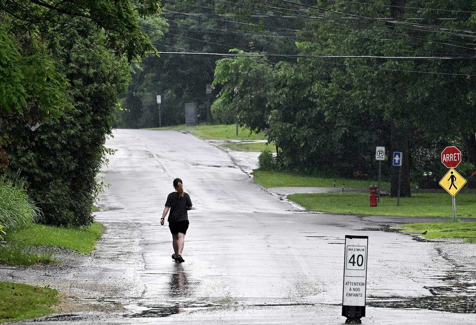Quebec town recognizes the rights of trees