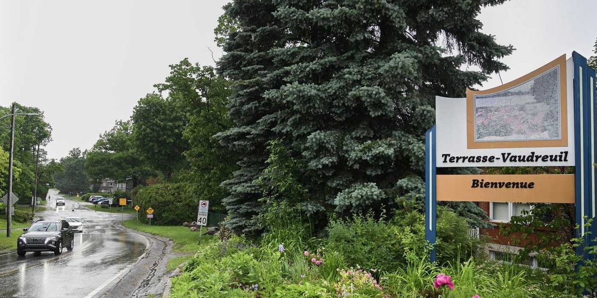 Quebec town of Terrasse-Vaudreuil recognizes trees as living beings with rights Quebec town of Terrasse-Vaudreuil recognizes trees as living beings with rights
