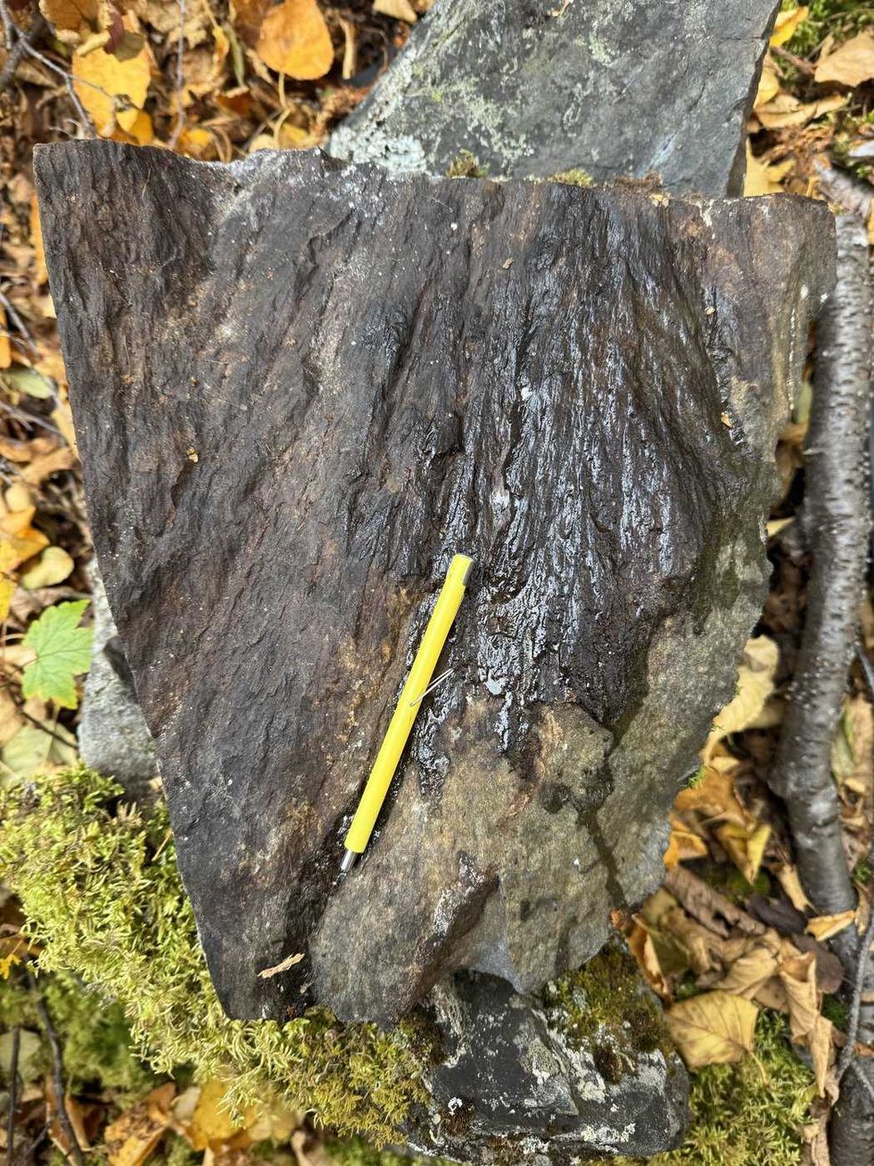 Quebecer discovers 390-million-year-old crater