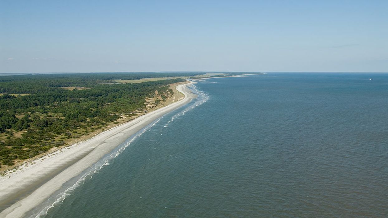 Queens Island Georgia Real Estate