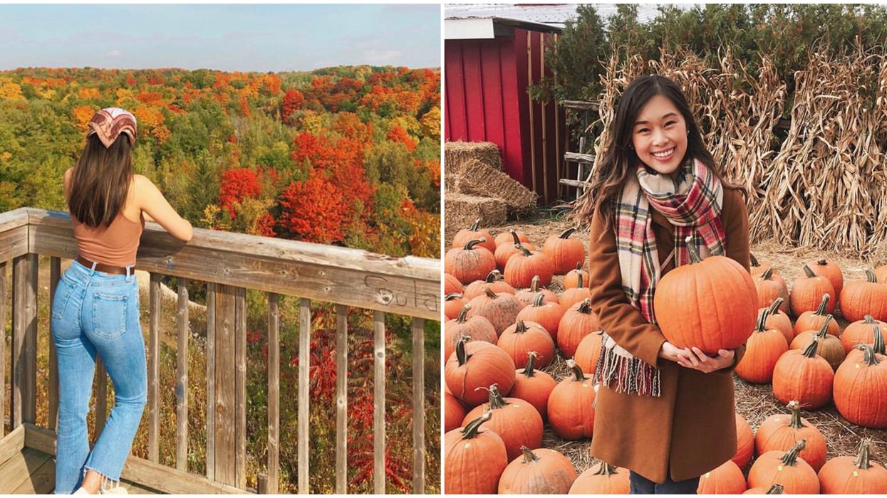 Quiet Places Near Toronto You Can Visit With Your Presto Card This Fall