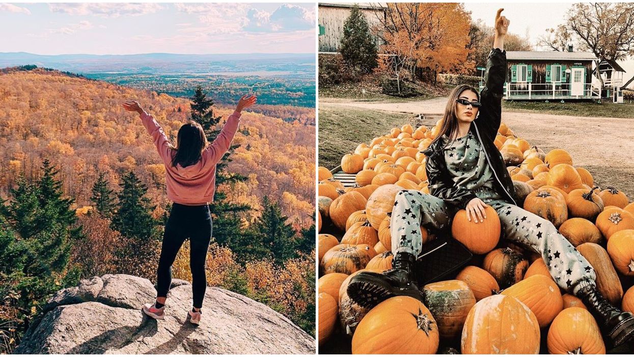 Quoi faire cet automne 2020 au Québec