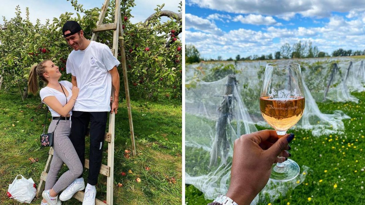 Quoi faire sur la Rive-Sud de Montréal : 7 activités du 20 au 22 août