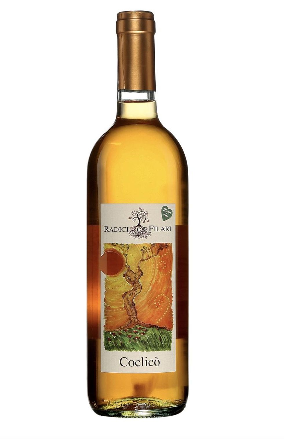 Radici e Filari Coclico.