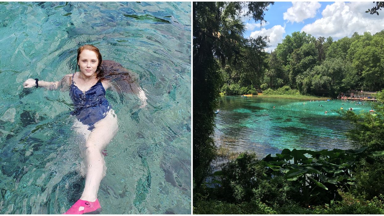 Rainbow Springs Florida State Park Admission To Swim Is Just $2