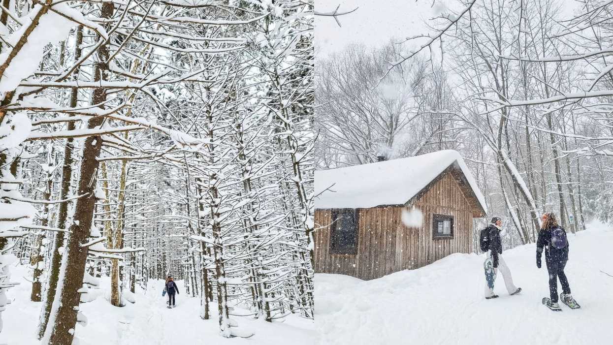 Randonnées près de Montréal