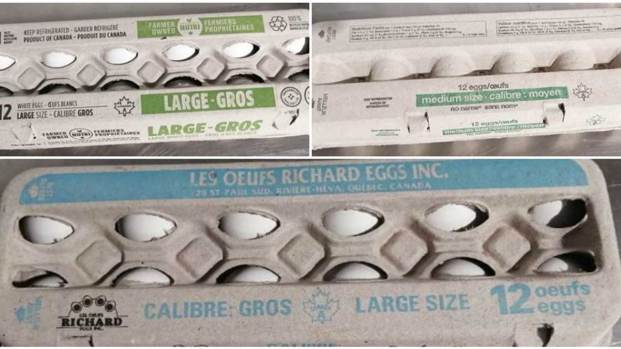 Rappel d'oeufs Richard Eggs Inc. au Québec pour possible contamination à la salmonelle