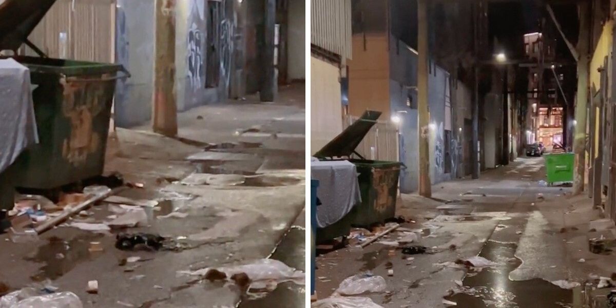 Vancouver Rats People On TikTok Confused Vancouver For New York City After Seeing This ...