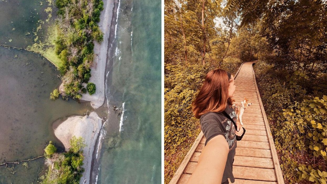 Rattray Marsh Conservation Area in Mississauga.