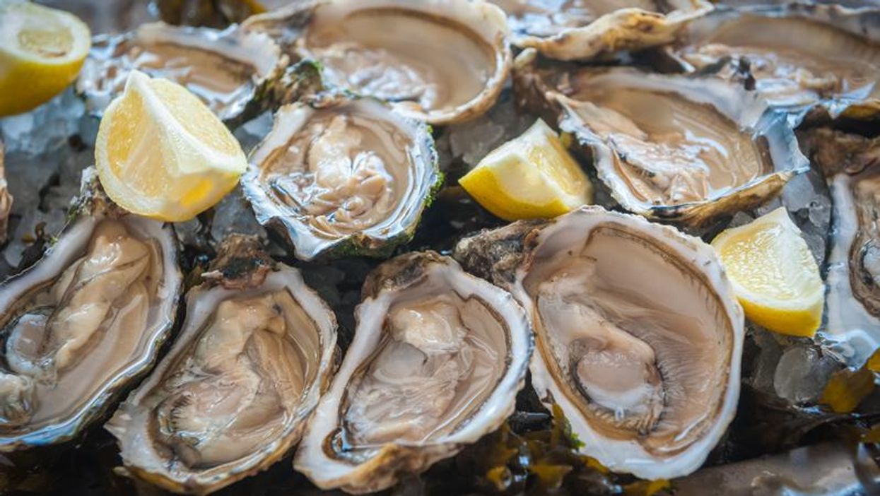 Raw oysters with lemon.