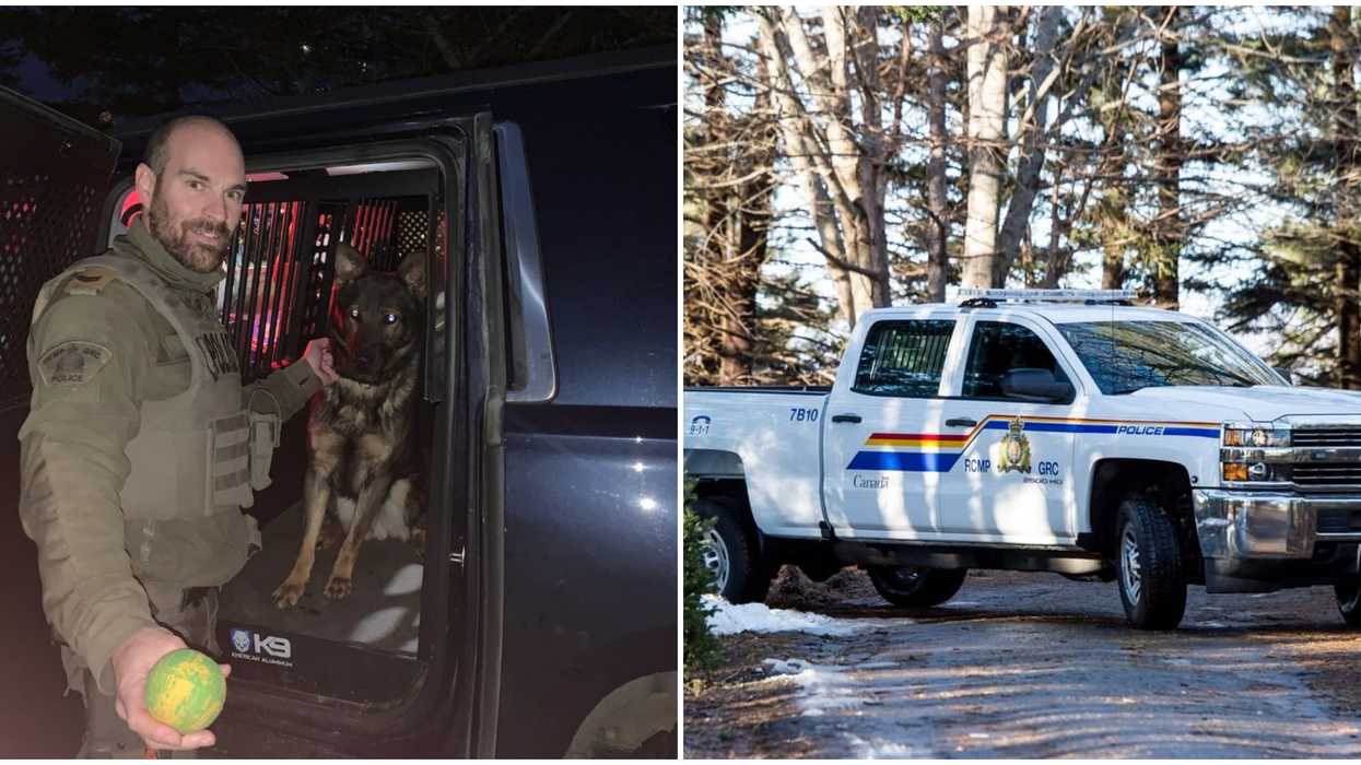 RCMP Dog Helped Find A Missing Man In Nova Scotia After Just 2 Months On The Job