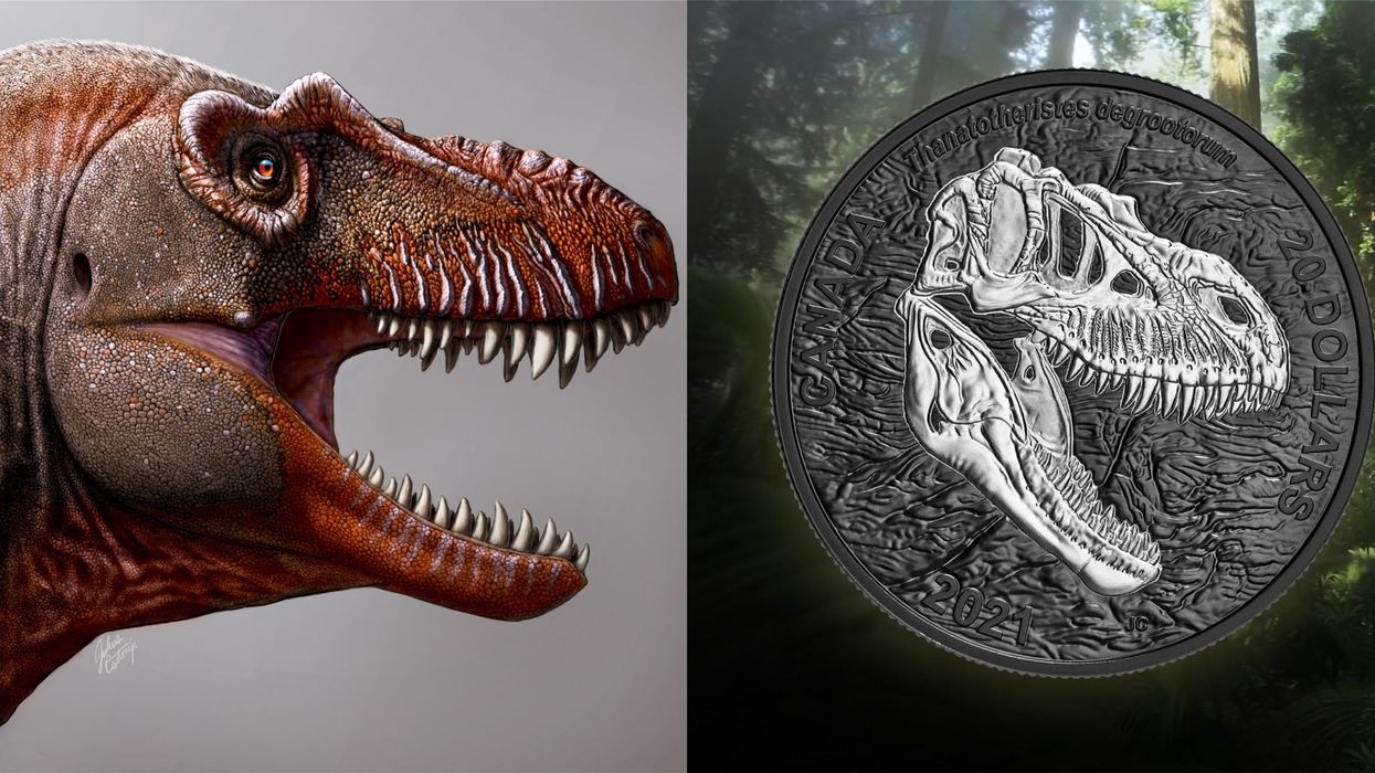 'Reaper Of Death' Dinosaur Coin Honours The Canadian Species