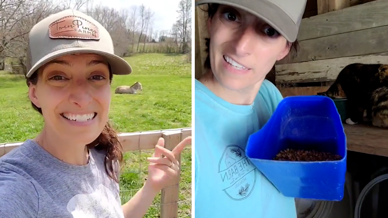 Rebecca Pyle in a TikTok video with Rip the donkey in the background. Right: Rebecca Pyle with a pail of food.