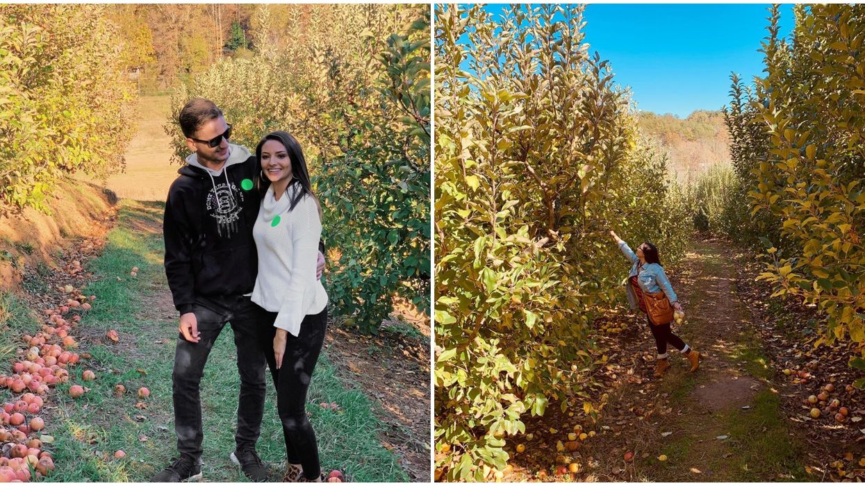 Red Apple Barn Things To Do In Georgia Takes You On A Romantic Apple Picking Date