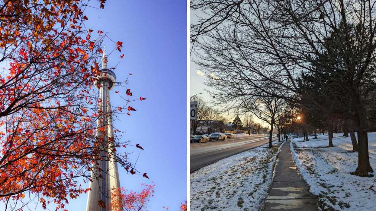 red leaves on tree in front of cn tower in toronto. right: street in brampton with snow and bare trees