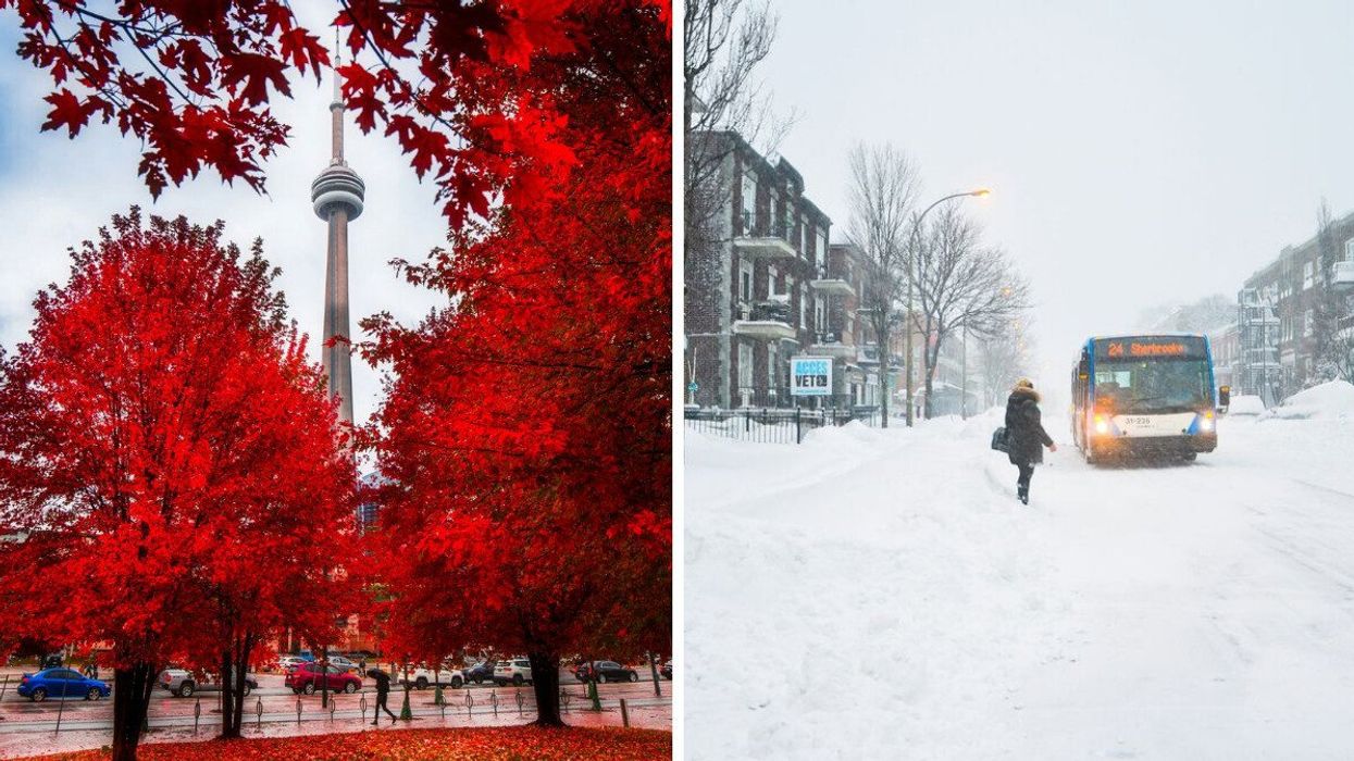 red maple trees in front of the cn tower in toronto. right: person waiting for a bus on a snow covered montreal street