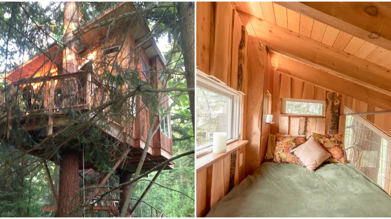 Redmond Airbnb Is An Actual Treehouse That Lets You Sleep In The Sky