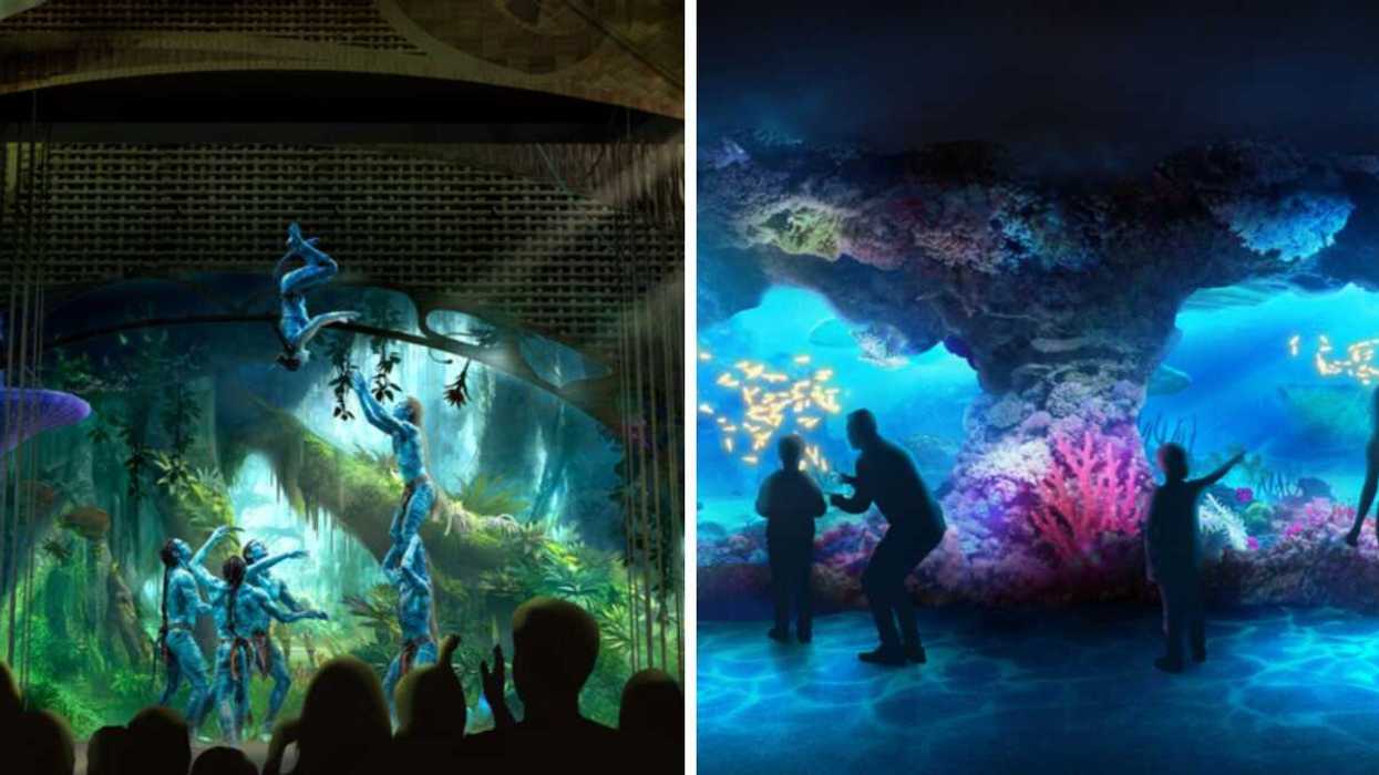 Rendering of Avatar acrobatic show. Right: Rendering of Pandora coral reefs.