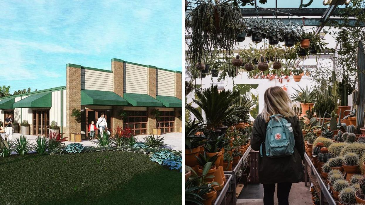 Renderings of Common Roots Farmers Market. Right: A woman walking through a plant nursery. 