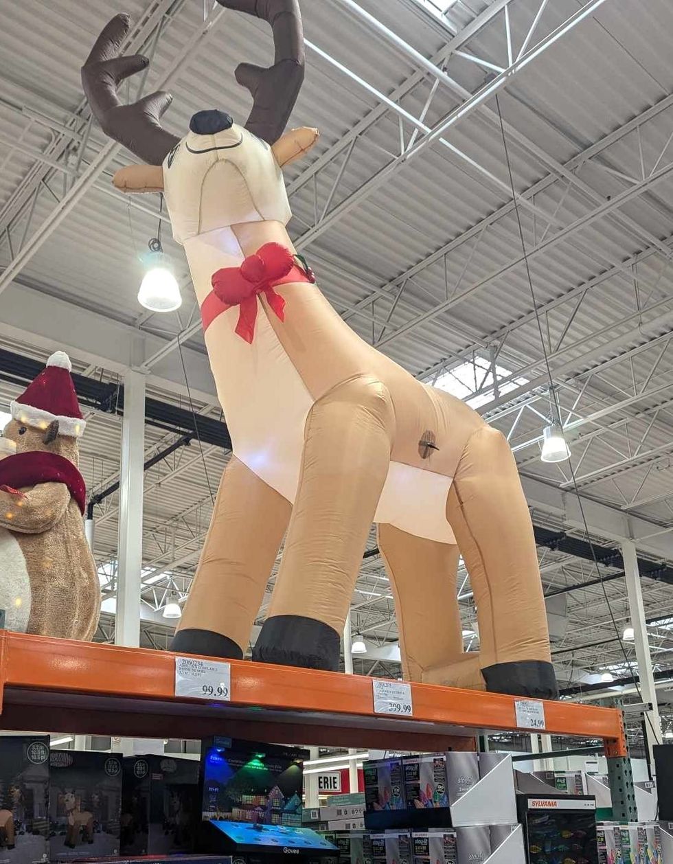 Renne de No\u00ebl gonflable.