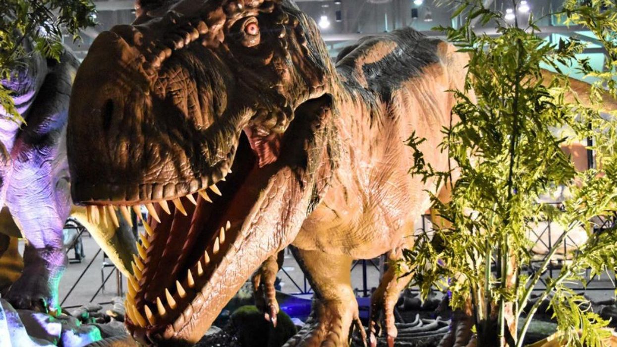 Replica of a dinosaur at Jurassic Quest.