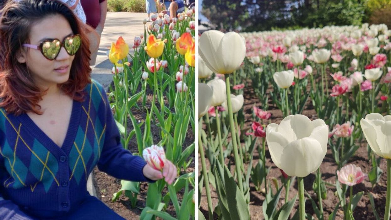 Rhythm Sachdeva checking out the tulip festivals. Right: The tulip festival in Ottawa.