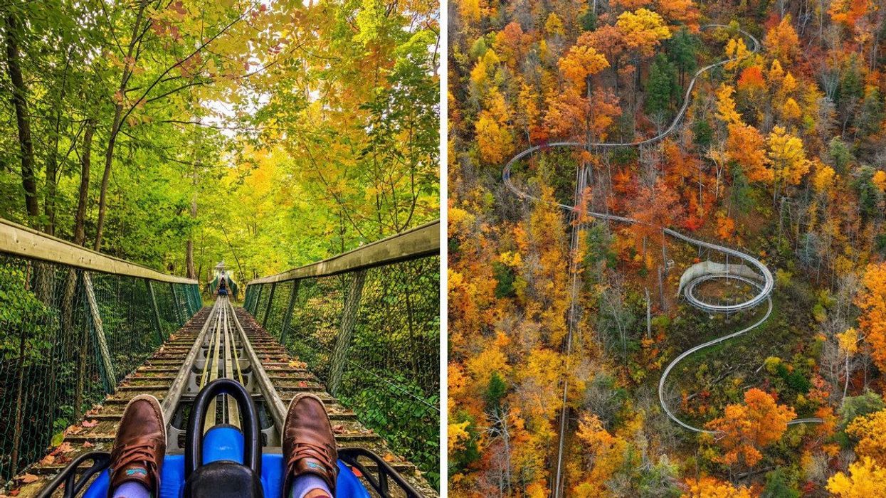Ridge Runner Mountain Coaster at Blue Mountain.
