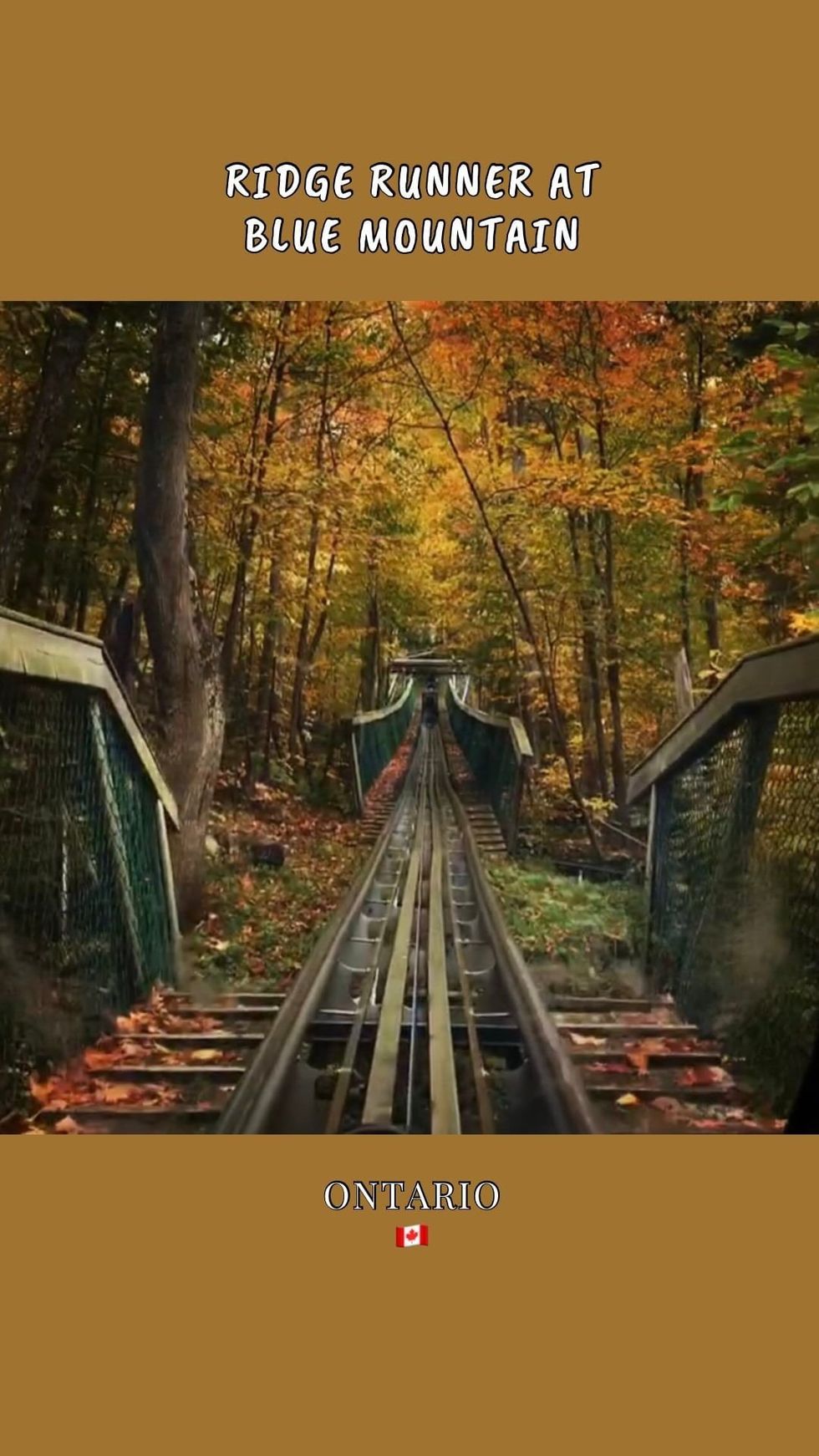 Ridge Runner Mountain Coaster at Blue Mountain