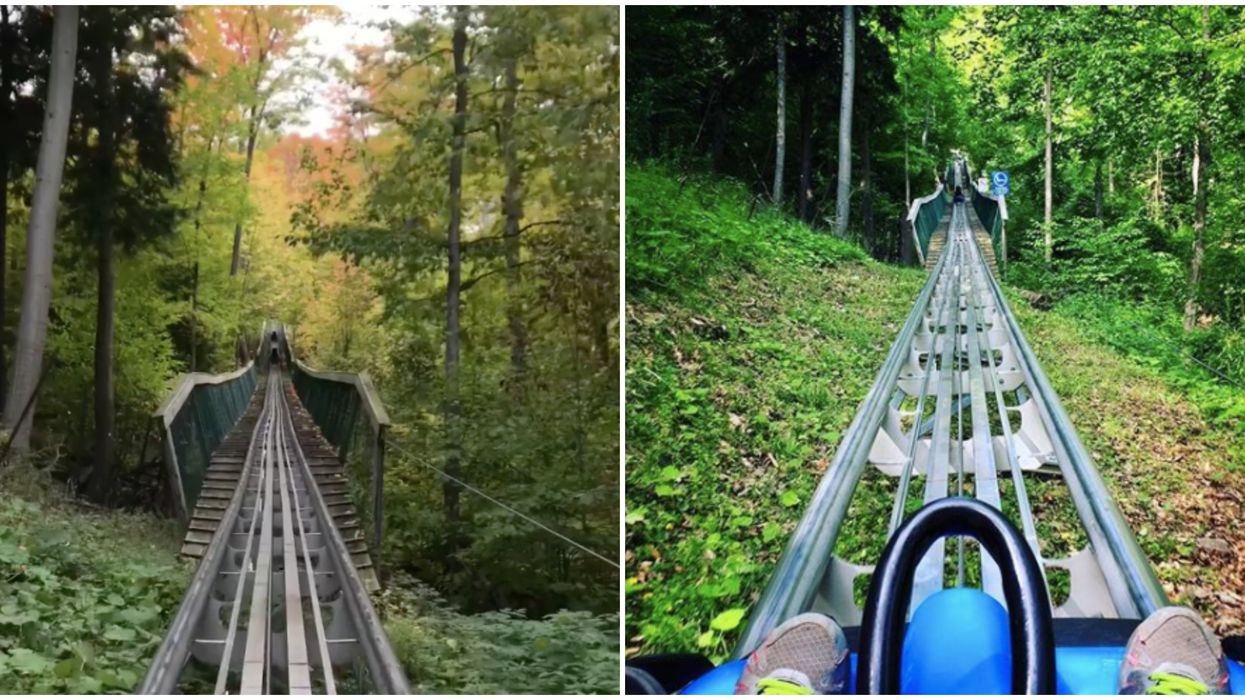 Ridge Runner Mountain Coaster Has Reopened In Blue Mountain This Summer
