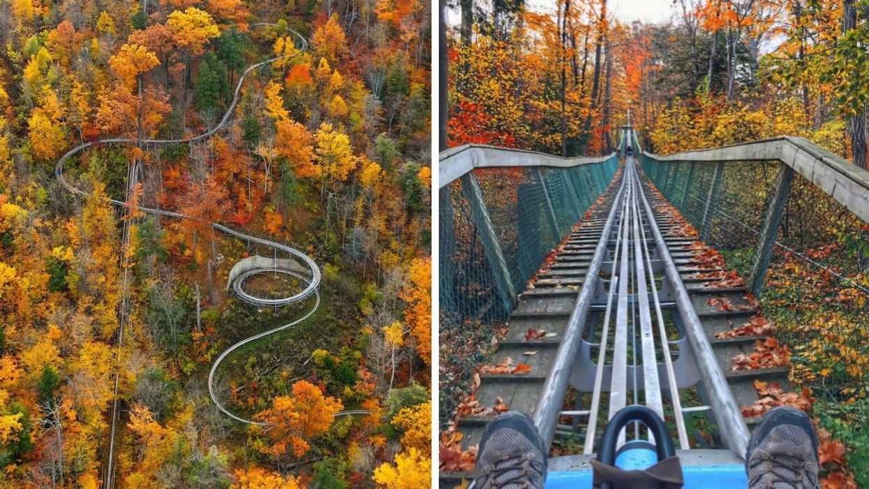 Ridge Runner Mountain Coaster in Collingwood, Ontario.