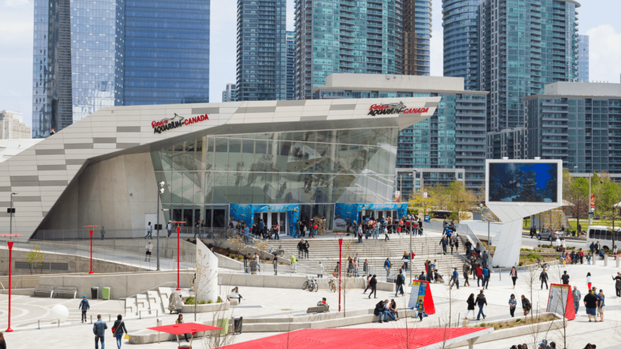 Ripley's Aquarium In Toronto: COVID-19 Cases Confirmed Among Employees