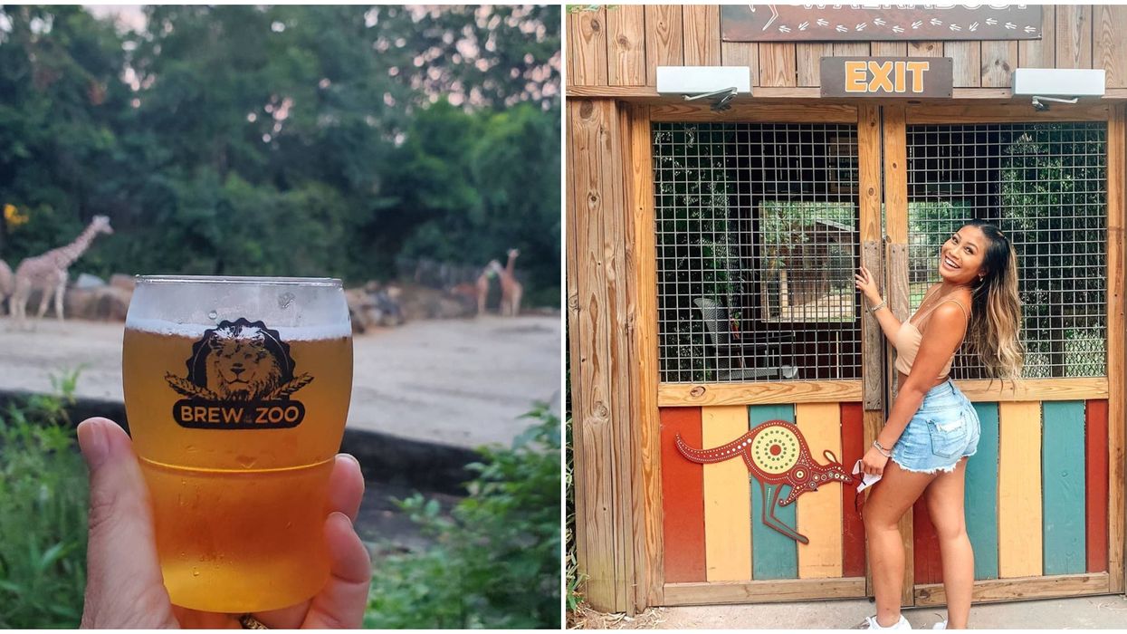 Riverbanks Zoo And Garden Event Near Augusta Georgia Hosting Adults-Only Night Next Month