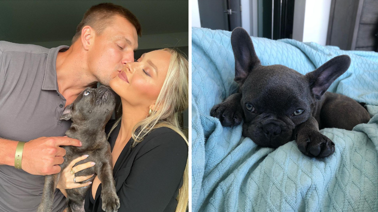 Rob Gronkowski and Camille Kostek with their dog Ralphie. Right: Ralphie just waking up from a nap.