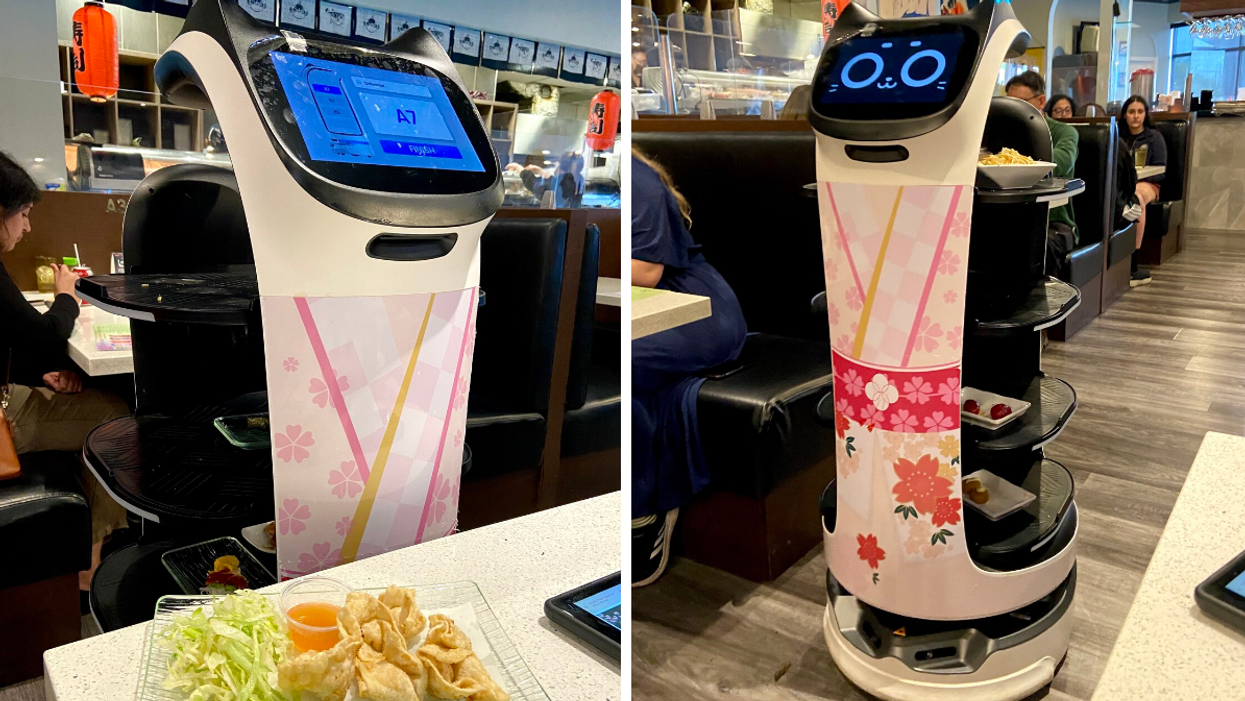 Robot cat serving food at the Ottawa restaurant Hockey Sushi.