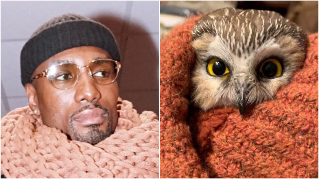 Rockefeller Tree Owl & Serge Ibaka Have The Best Thing Ever In Common