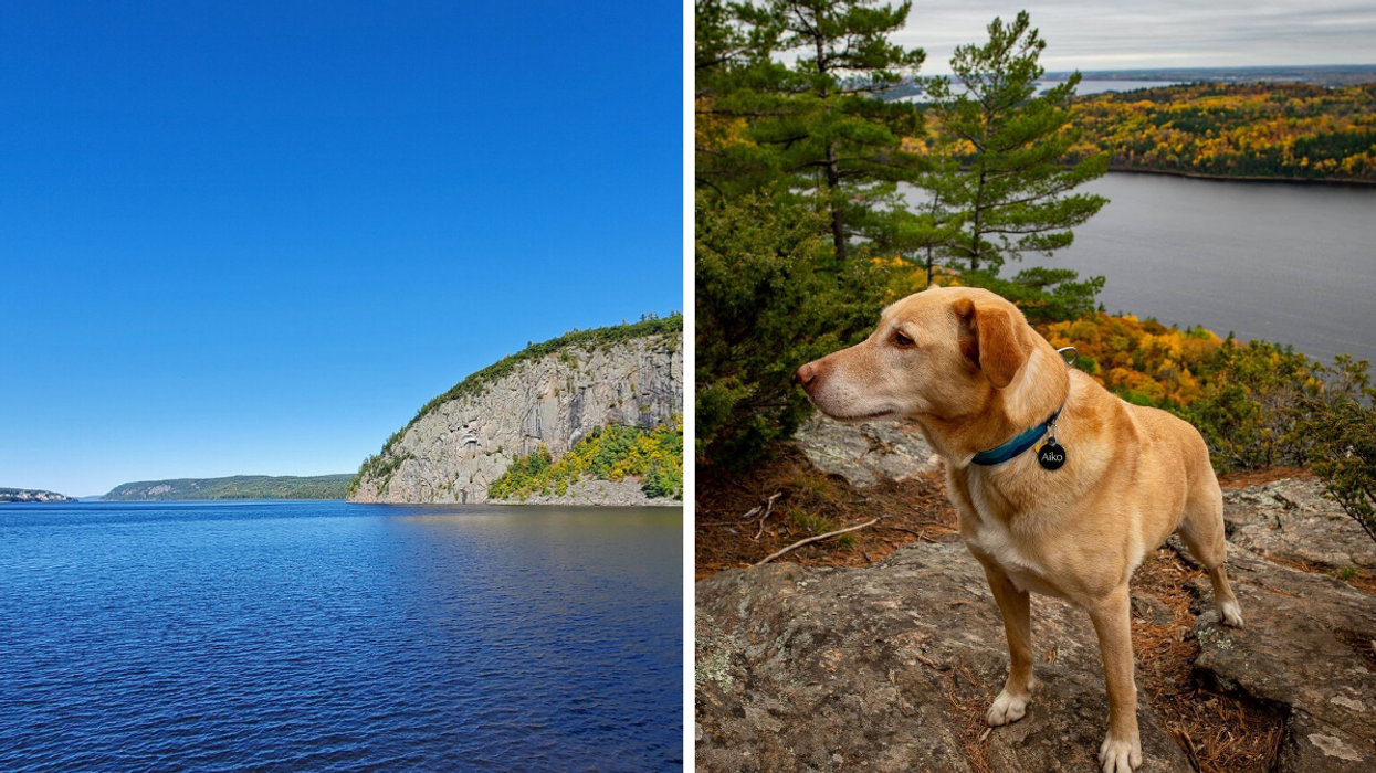 Rocky escarpment along the Ottawa River. Right: Dog at Oiseau Rock lookout.