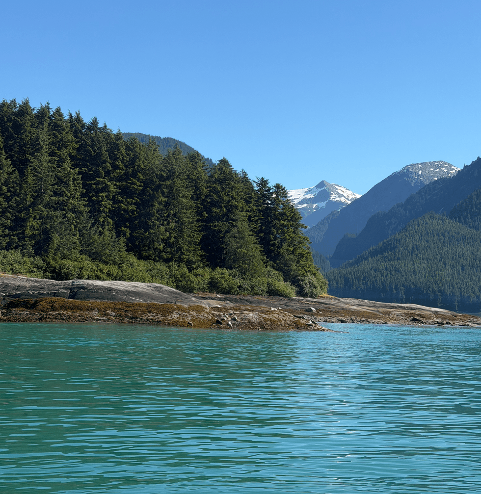 Rocky shoreline with pine trees, teal water and snow-capped mountains in the distance during an Alaska wildlife tour.