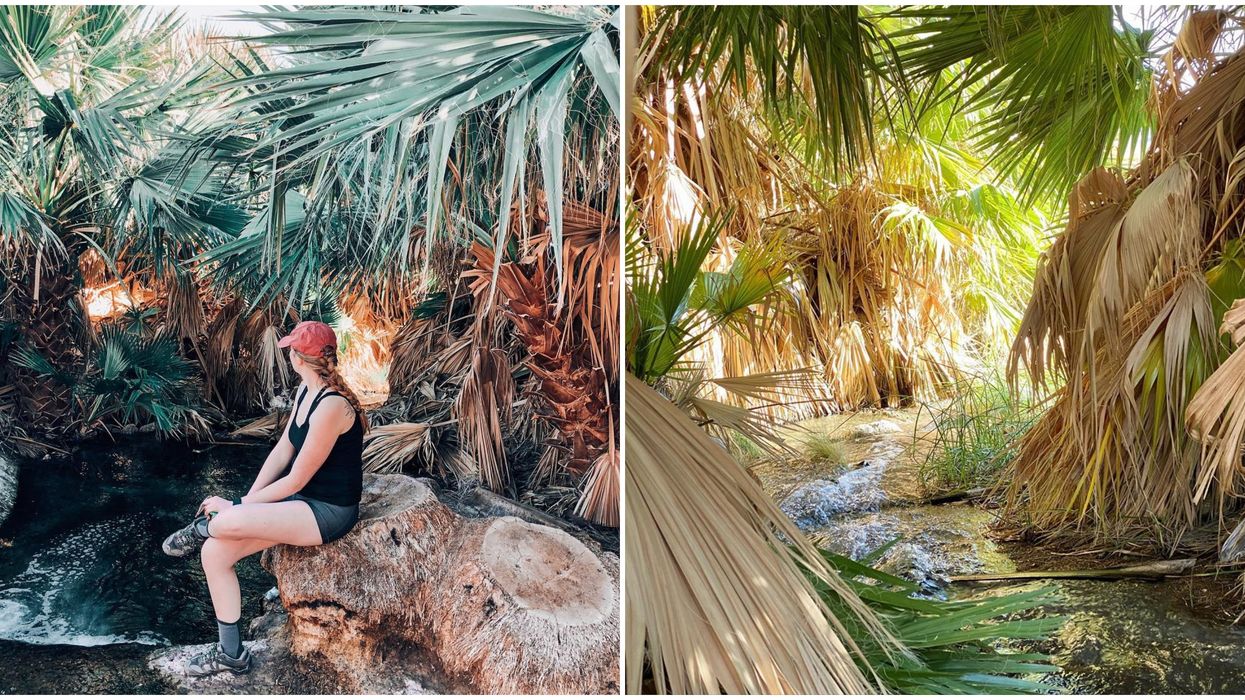 Roger Springs In Nevada Is An Island Oasis In The Middle Of Nowhere