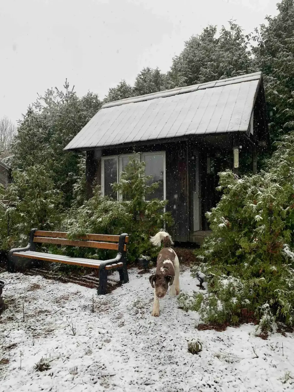 Romantic cabin Airbnb.\u200b