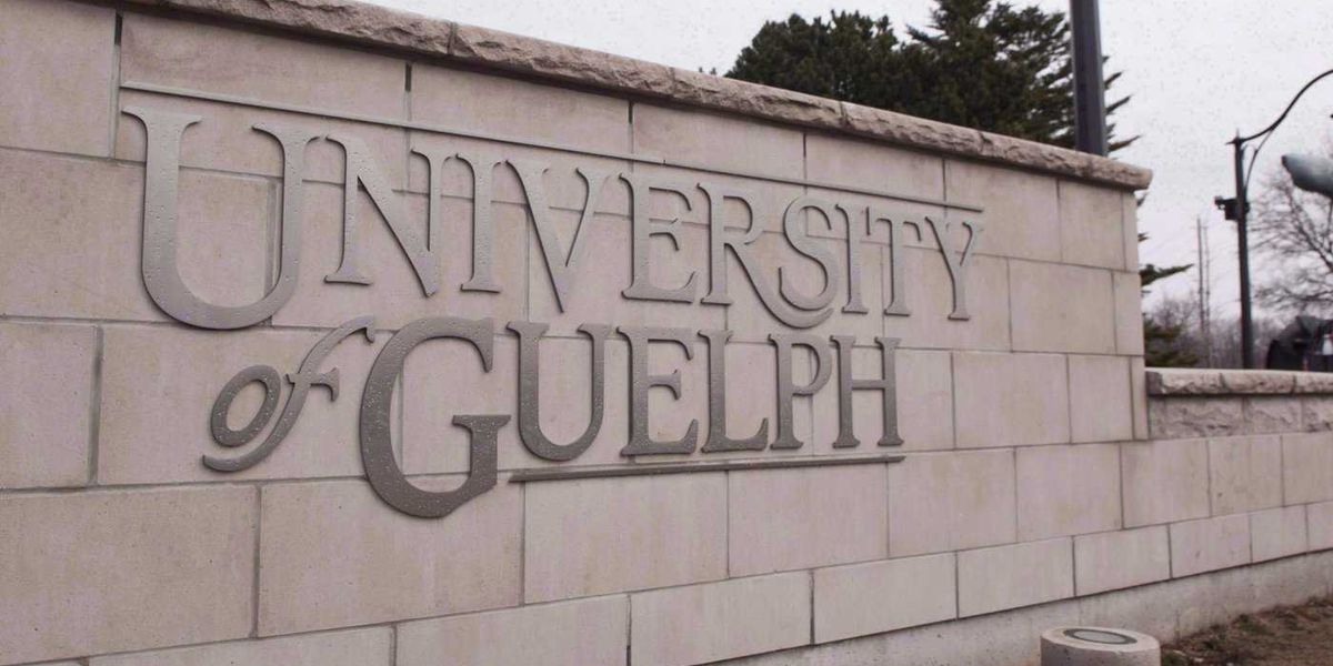 Rowdy homecoming in Guelph drew up to 15,000 people, cost $91k in policing: report