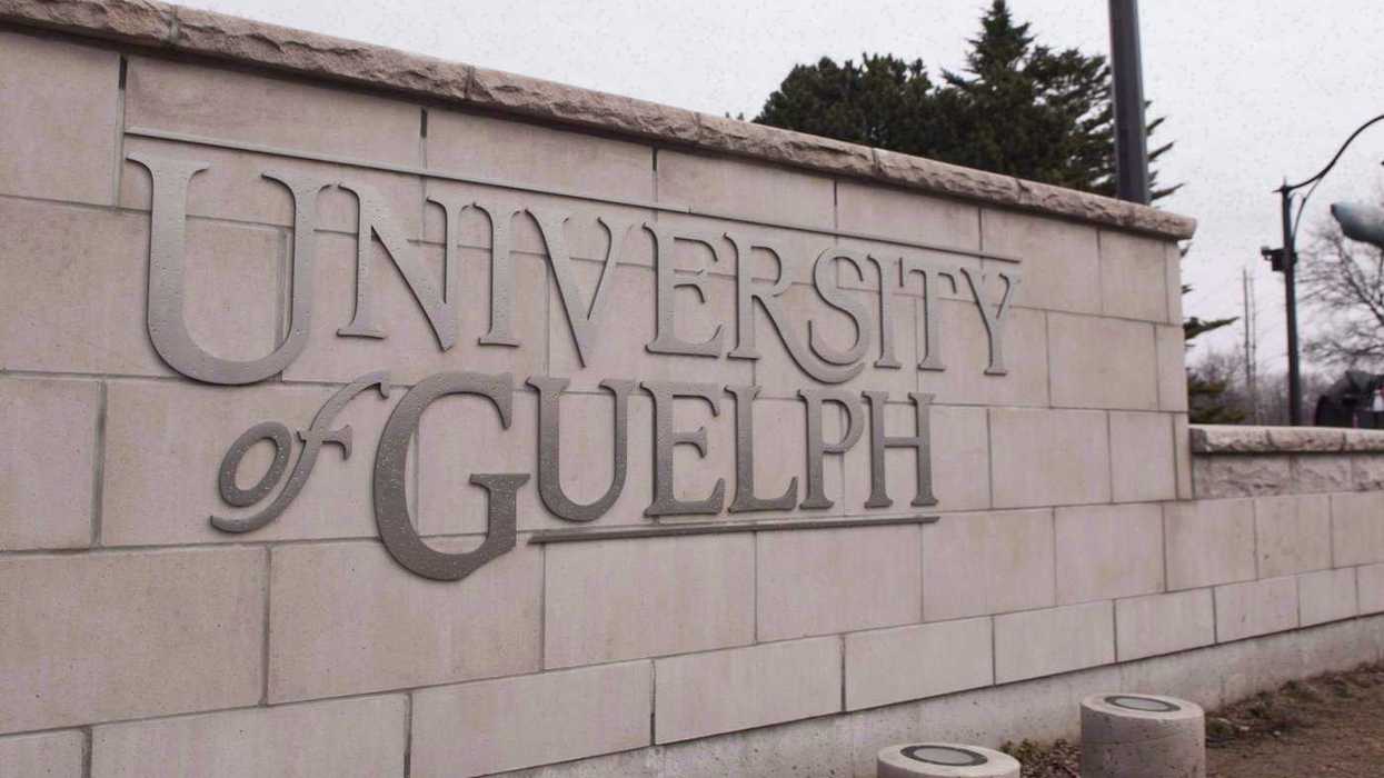 Rowdy Guelph homecoming cost police $91k: report