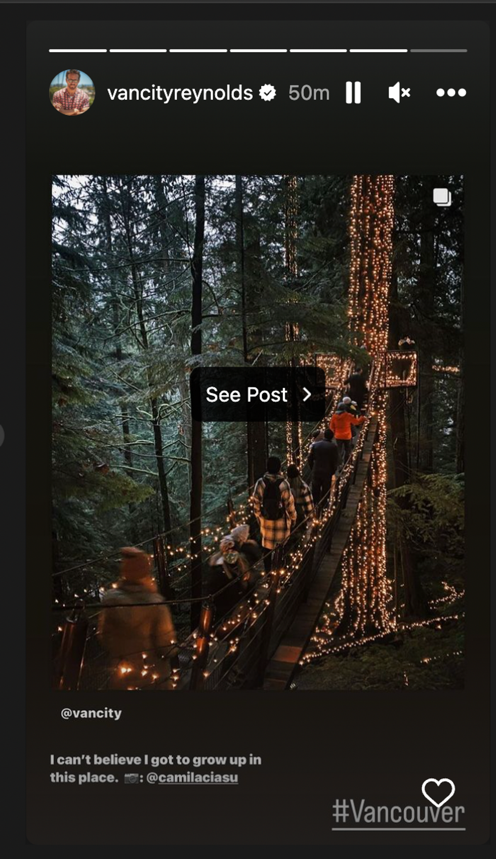 Ryan Reynolds Instagram story.