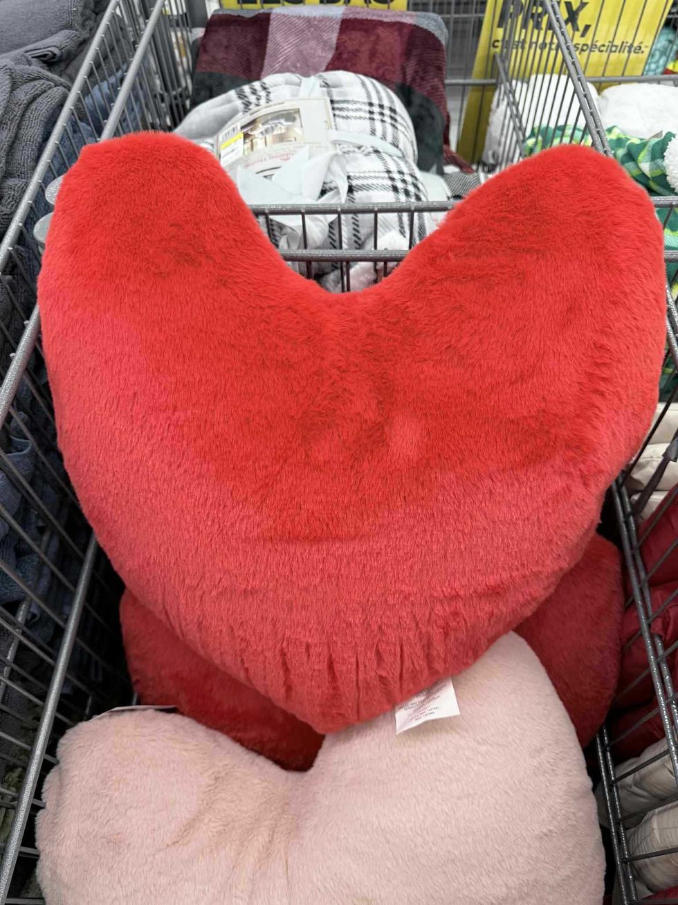 S\u00e9lection de coussins en forme de coeur en vente au Tigre G\u00e9ant pour 15 $.