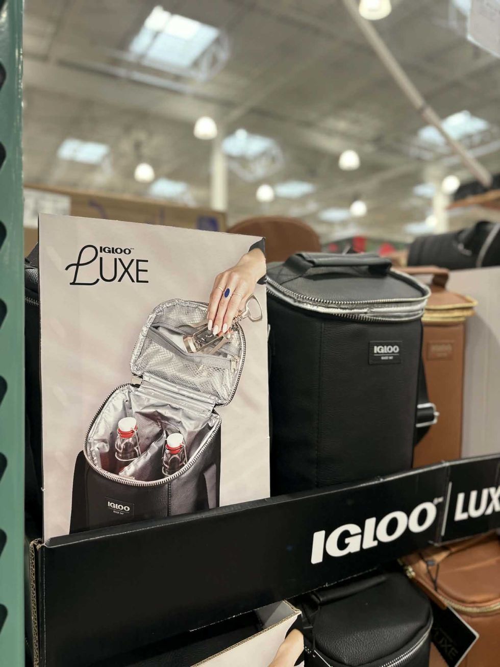 Sac isotherme Igloo Luxe avec compartiment isol\u00e9 et rangement int\u00e9rieur, au Costco.