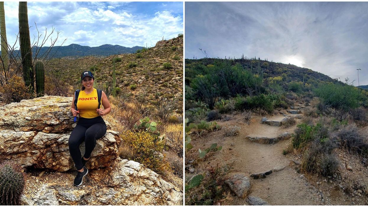 Saguaro National Park In Arizona Has A 'Staircase To Heaven' Hike