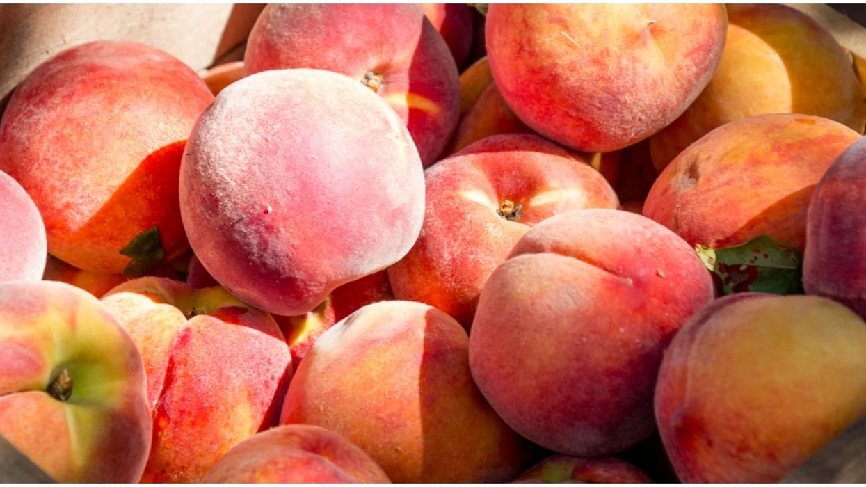 Salmonella : Des pêches fraîches importées de Californie pourraient être contaminées